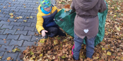 Fialováčci hrabou listí