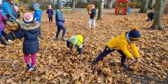 Modráčci hrabou listí a uklízejí zahradu