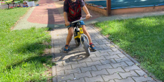 První týden u Oranžováčků